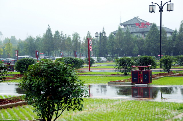 停车场.jpg