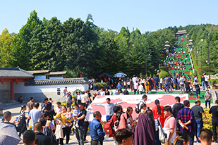 IMG_8405.jpg