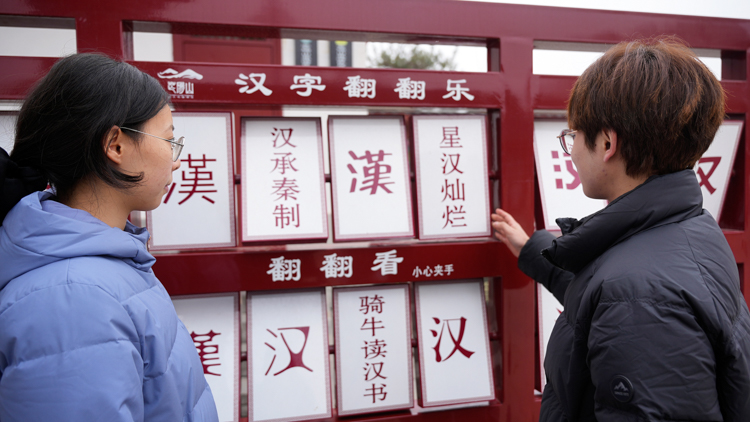 网站用-2.jpg