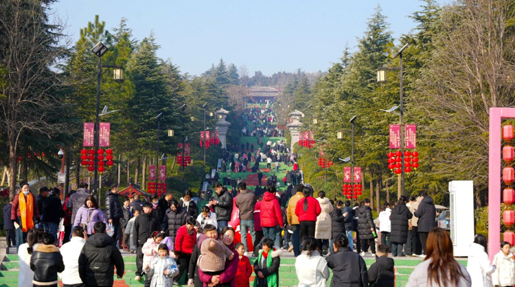 网站用-6.jpg