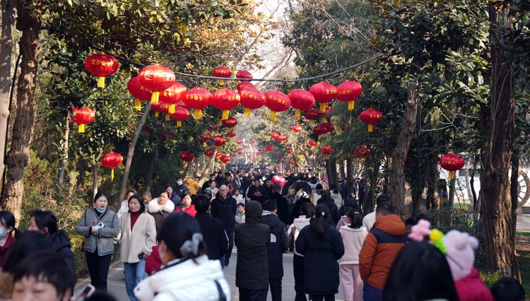 网站用-2.jpg
