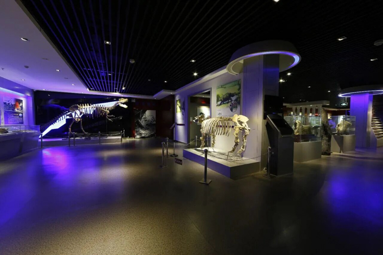 1758597798426671.jpg 15-16.jpg