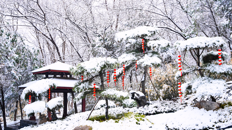 1764644865659454.jpg 微信图片_2025-12-02_110038_385.jpg