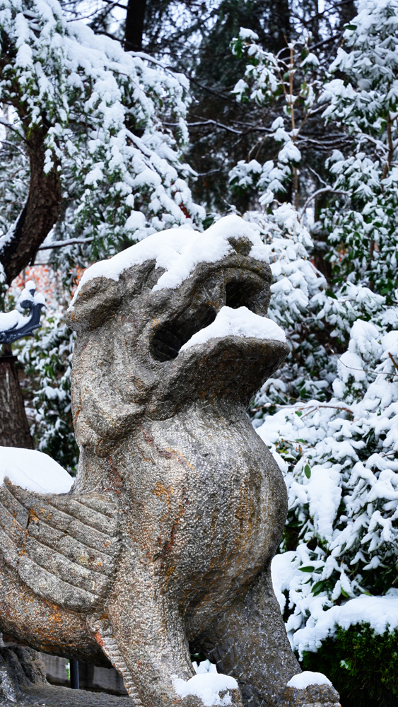 1764644872138185.jpg 微信图片_2025-12-02_110039_977.jpg