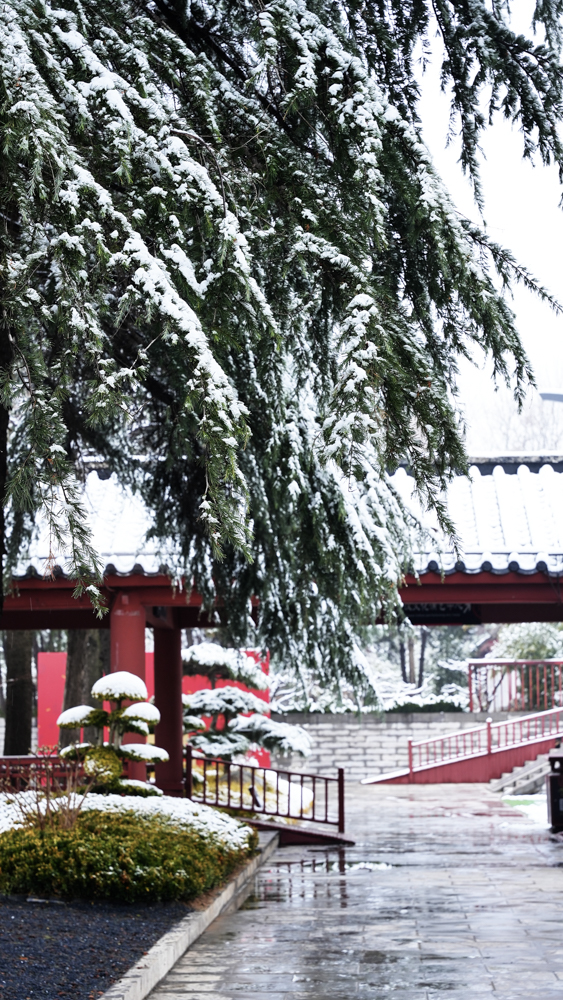 1765848247625474.jpg 微信图片_2025-12-16_091808_116.jpg