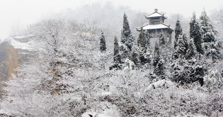 1765848267681079.jpg 微信图片_2025-12-16_091822_396.jpg