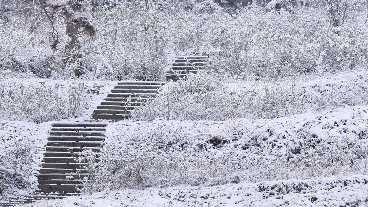 1765848695553611.jpg 微信图片_2025-12-16_092622_836.jpg