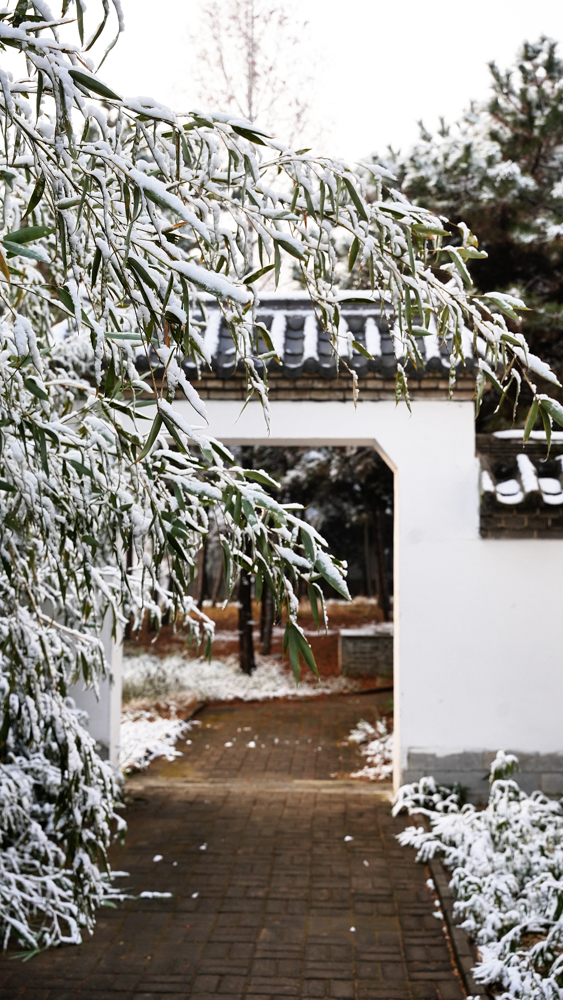 1765848723724014.jpg 微信图片_2025-12-16_092632_524.jpg