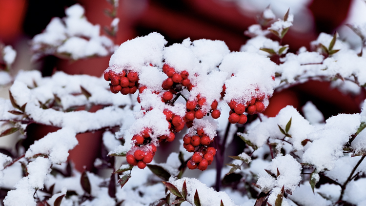 1765848736653788.jpg 微信图片_2025-12-16_092636_180.jpg