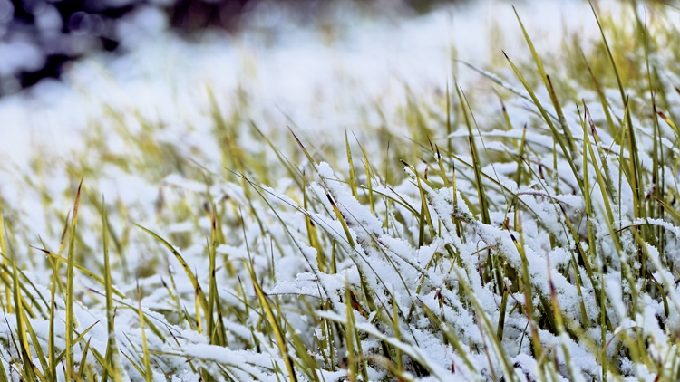 1765848765539608.jpg 微信图片_2025-12-16_092639_924.jpg