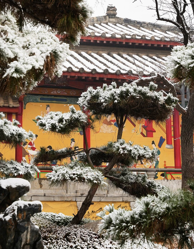 1765848790188251.jpg 微信图片_2025-12-16_092643_604.jpg