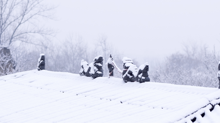 1765848845557248.jpg 微信图片_2025-12-16_092648_907.jpg